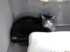 DSCF4423.JPG