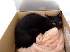 DSCF4421.JPG