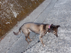 DSCF4432.JPG
