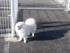 DSCF4434.JPG