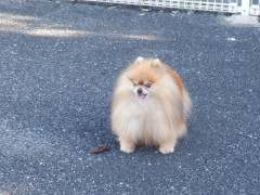 DSCF4435.JPG