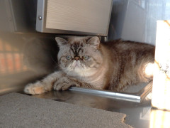 DSCF4444.JPG