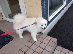 DSCF4478.JPG