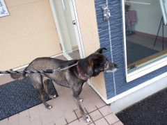 DSCF4484.JPG