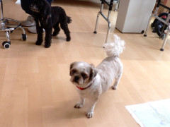 DSCF4472.JPG