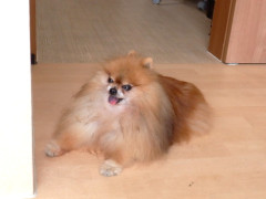 DSCF4489.JPG