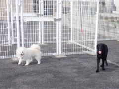 DSCF4505.JPG