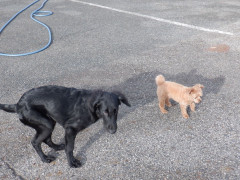 DSCF4500.JPG