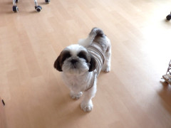 DSCF4517.JPG