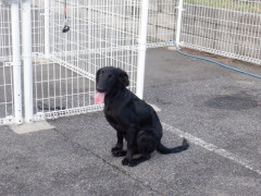 DSCF4548.JPG