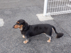 DSCF4550.JPG