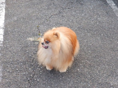 DSCF4541.JPG