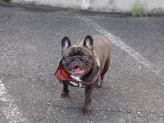 DSCF4538.JPG