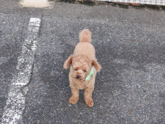 DSCF4543.JPG