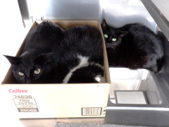DSCF4530.JPG