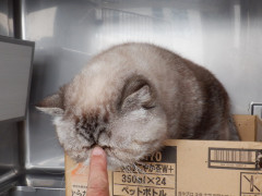 DSCF4560.JPG