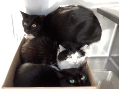 DSCF4562.JPG