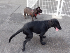 DSCF4574.JPG