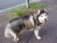 DSCF4593.JPG