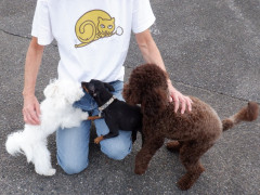 DSCF4605.JPG