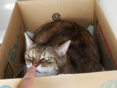 DSCF4614.JPG