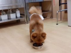 DSCF4628.JPG