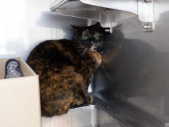 DSCF4638.JPG