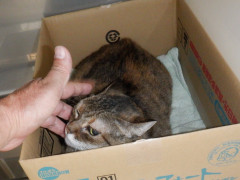 DSCF4636.JPG