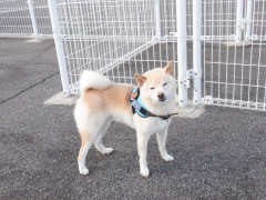 DSCF4649.JPG