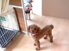 DSCF4658.JPG