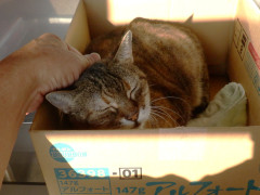 DSCF4673.JPG