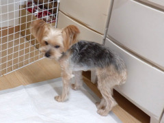 DSCF4701.JPG