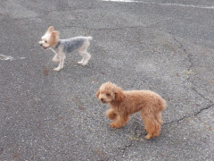 DSCF4719.JPG