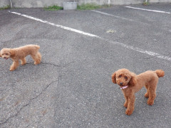 DSCF4723.JPG