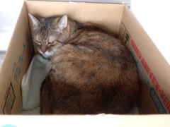 DSCF4728.JPG