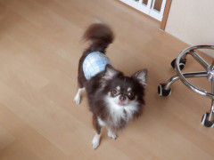DSCF4729.JPG