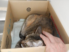 DSCF4733.JPG