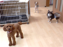 DSCF4739.JPG