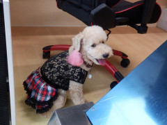 DSCF4741.JPG