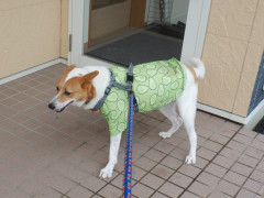 DSCF4751.JPG