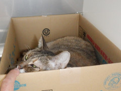 DSCF4752.JPG