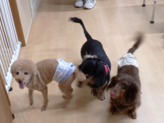 DSCF4757.JPG