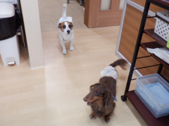 DSCF4765.JPG
