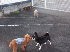 DSCF4774.JPG