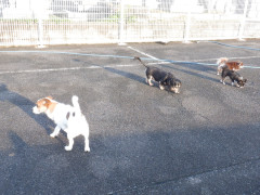 DSCF4773.JPG