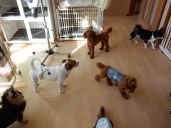 DSCF4808.JPG
