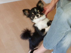 DSCF4821.JPG