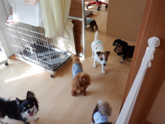 DSCF4816.JPG