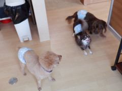 DSCF4828.JPG