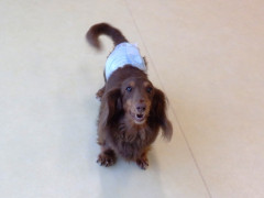 DSCF4851.JPG